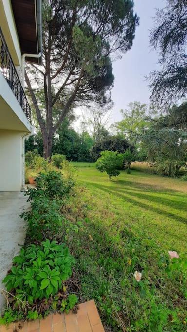 La Maison De Lili Colayrac-Saint-Cirq Exteriér fotografie