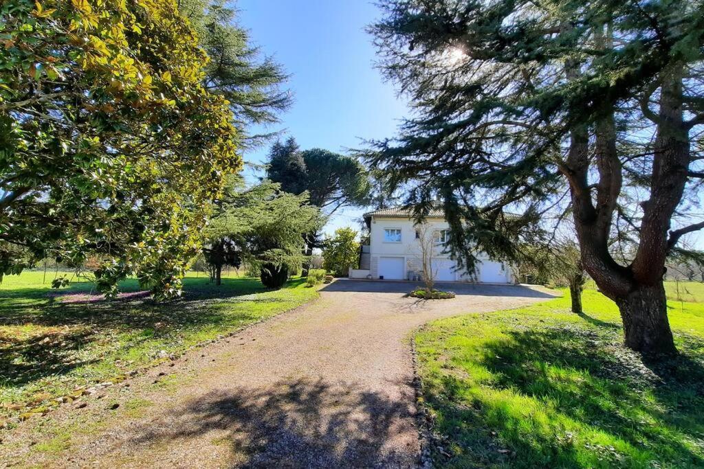 La Maison De Lili Colayrac-Saint-Cirq Exteriér fotografie